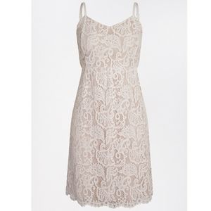 Sweetheart Neck Lace Skater Dress